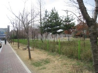 전라북도 전주시 완산구 중화산동2가 코오롱하늘채 아파트 