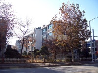 경기도 고양시 일산동구 정발산동 밤가시건영8단지 아파트 