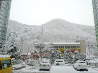 경기도 광주시 곤지암읍 쌍용1차 아파트 