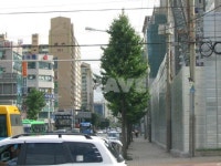 서울시 양천구 목동 목4동현대 아파트 