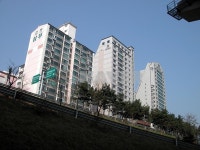골든빌(99-1) 사진 1