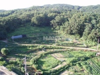 경기도 수원시 장안구 율전동 밤꽃마을뜨란채 아파트 