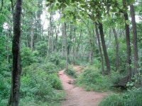 서울시 관악구 신림동 신림동부센트레빌 아파트 