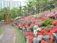 경기도 용인시 수지구 성복동 성동마을LG빌리지1차 아파트 