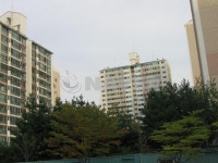 경기도 고양시 일산서구 일산동 후곡3단지현대 아파트