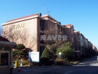 경기도 고양시 일산동구 정발산동 밤가시건영6단지 아파트 