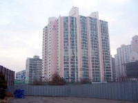 동양메이저1차 사진 4