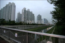 경기도 수원시 장안구 정자동 백설마을5단지삼환나우빌 아파트 