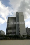 경기도 수원시 장안구 정자동 백설마을5단지주공 아파트 