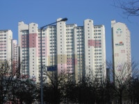 경기도 고양시 일산서구 일산동 일산동문5차 아파트 