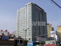 경기도 성남시 수정구 신흥동 삼부르네상스파크II 주상복합 