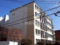 미광 사진 4