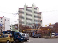 상아 사진 4
