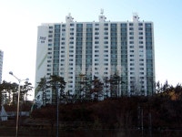 경기도 수원시 장안구 율전동 화남 아파트 