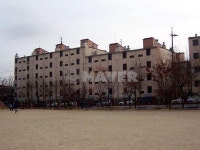 경기도 수원시 권선구 권선동 금성 아파트 