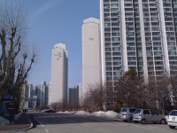청솔 사진 5