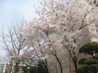탑마을(벽산) 사진 3