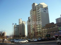 경기도 수원시 영통구 망포동 영통마젤란21(1단지) 아파트 