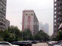 목화 사진 1