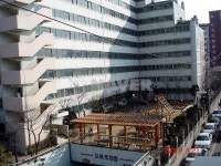 세종보라 사진 3