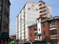 경기도 남양주시 금곡동 금성훼밀리 아파트 