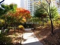 경기도 군포시 금정동 율곡주공3단지 아파트 