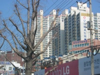 부산시 사하구 장림동 장림로얄베스토피아 아파트 