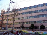 팰리스필 사진 5