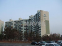 한진 사진 5