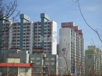 삼성 사진 4