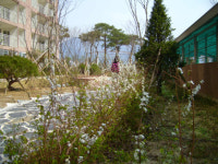 경상남도 양산시 물금읍 효성백년가약 아파트 