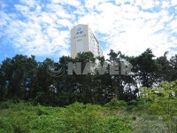 경기도 용인시 수지구 죽전동 내대지마을건영캐스빌 아파트 