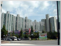 벽적골롯데 사진 3