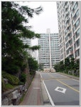 경기도 용인시 수지구 풍덕천동 신정2단지현대프라임 아파트 