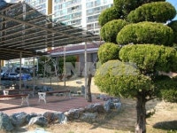울산시 동구 화정동 대송현대1차 아파트 