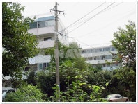 경기도 수원시 영통구 매탄동 매탄삼성3차 아파트 