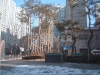 대구시 달서구 월성동 월성푸르지오 아파트 
