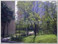 경기도 용인시 수지구 상현동 상현마을현대성우1차 아파트 