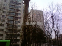 서울시 송파구 송파동 한양1차 아파트 