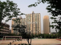 경기도 성남시 분당구 수내동 양지1단지금호 아파트 