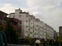 인향 사진 3