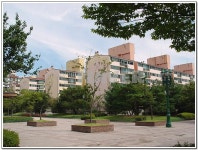 경기도 수원시 영통구 매탄동 금성 아파트 