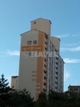 경기도 고양시 일산동구 마두동 백마5단지쌍용,한성 아파트 