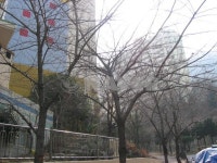 부산시 사상구 학장동 학장벽산 아파트 