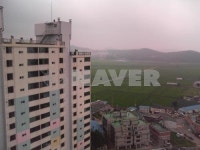 에이스정육식당