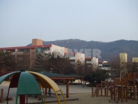 인향 사진 2