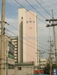 상록수 사진 3