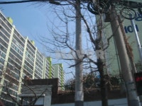 부산시 사상구 모라동 우성 아파트 