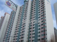 삼성 사진 5