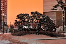 경기도 용인시 기흥구 공세동 탑실마을대주피오레1단지 아파트 